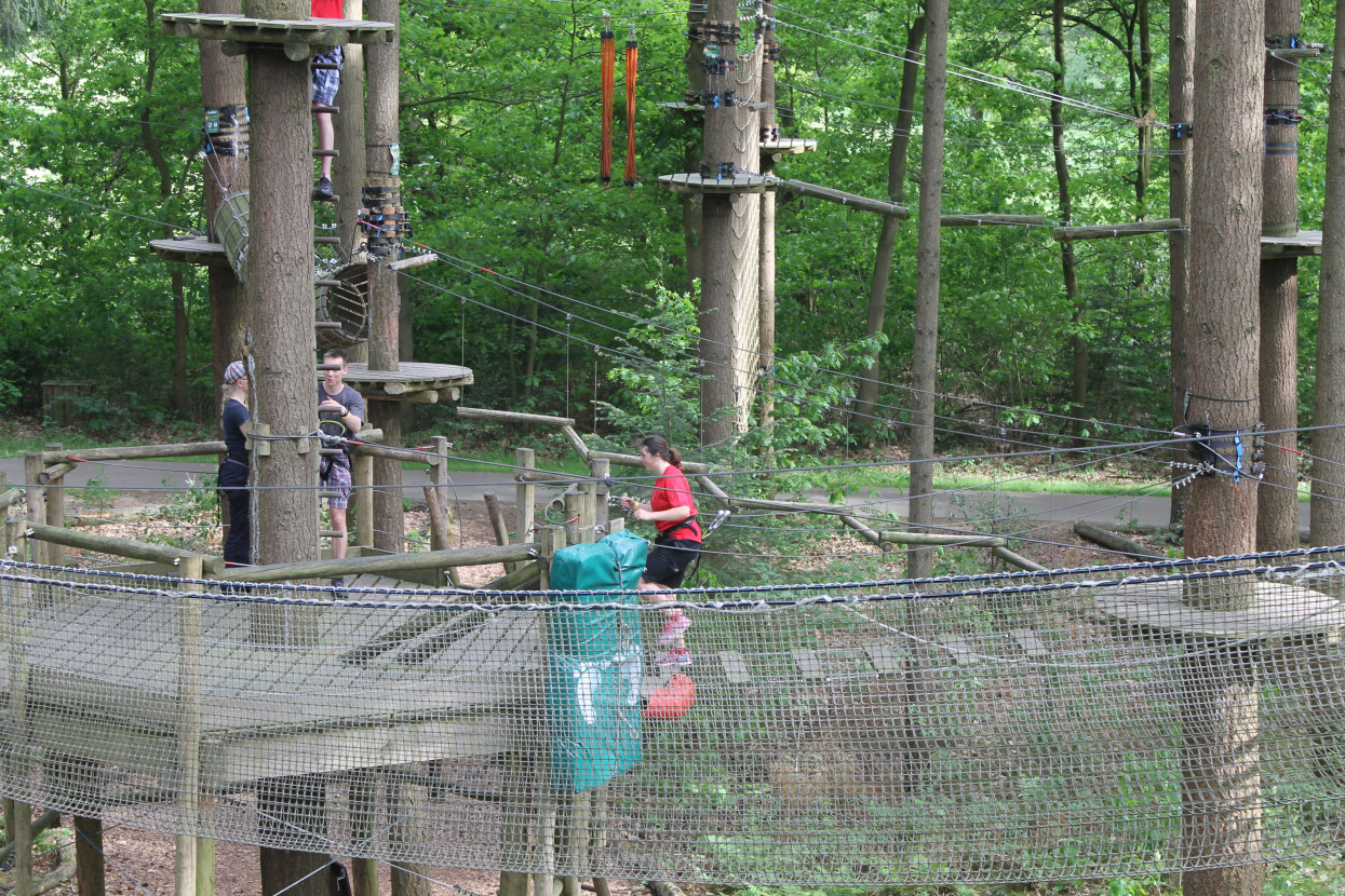 Climbing forest