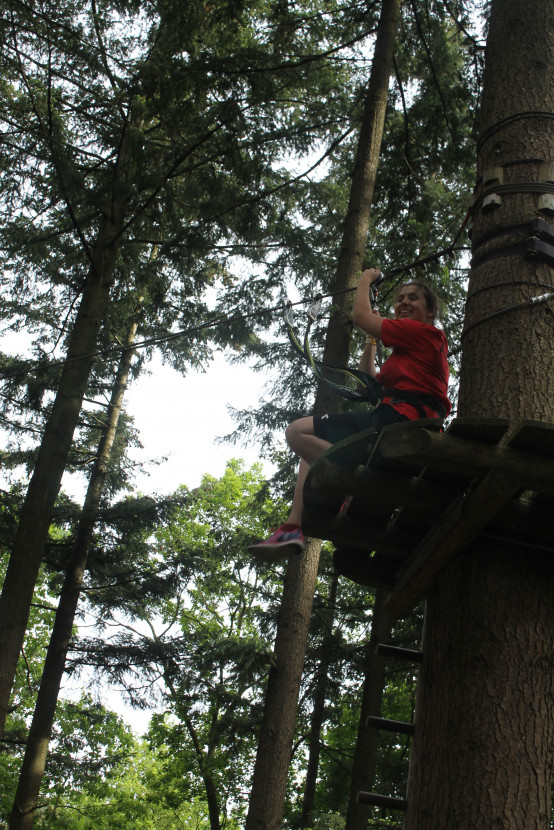 Climbing forest