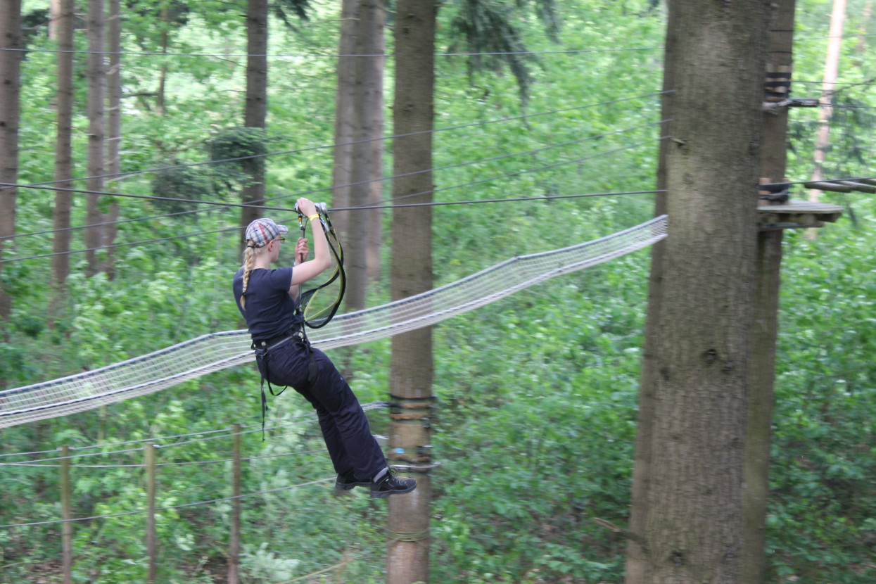 Climbing forest