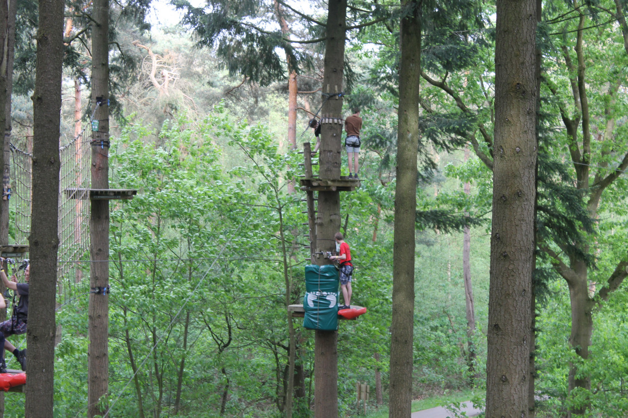 Climbing forest