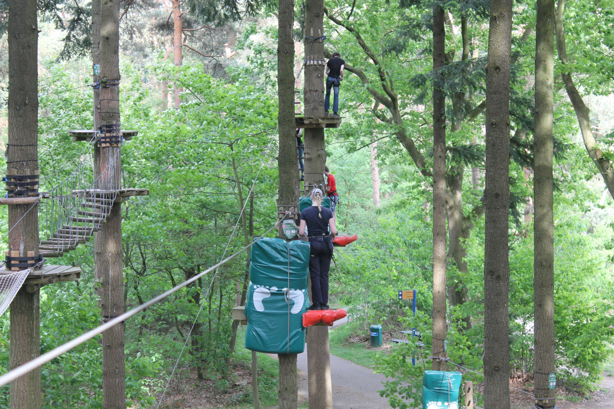 Climbing forest