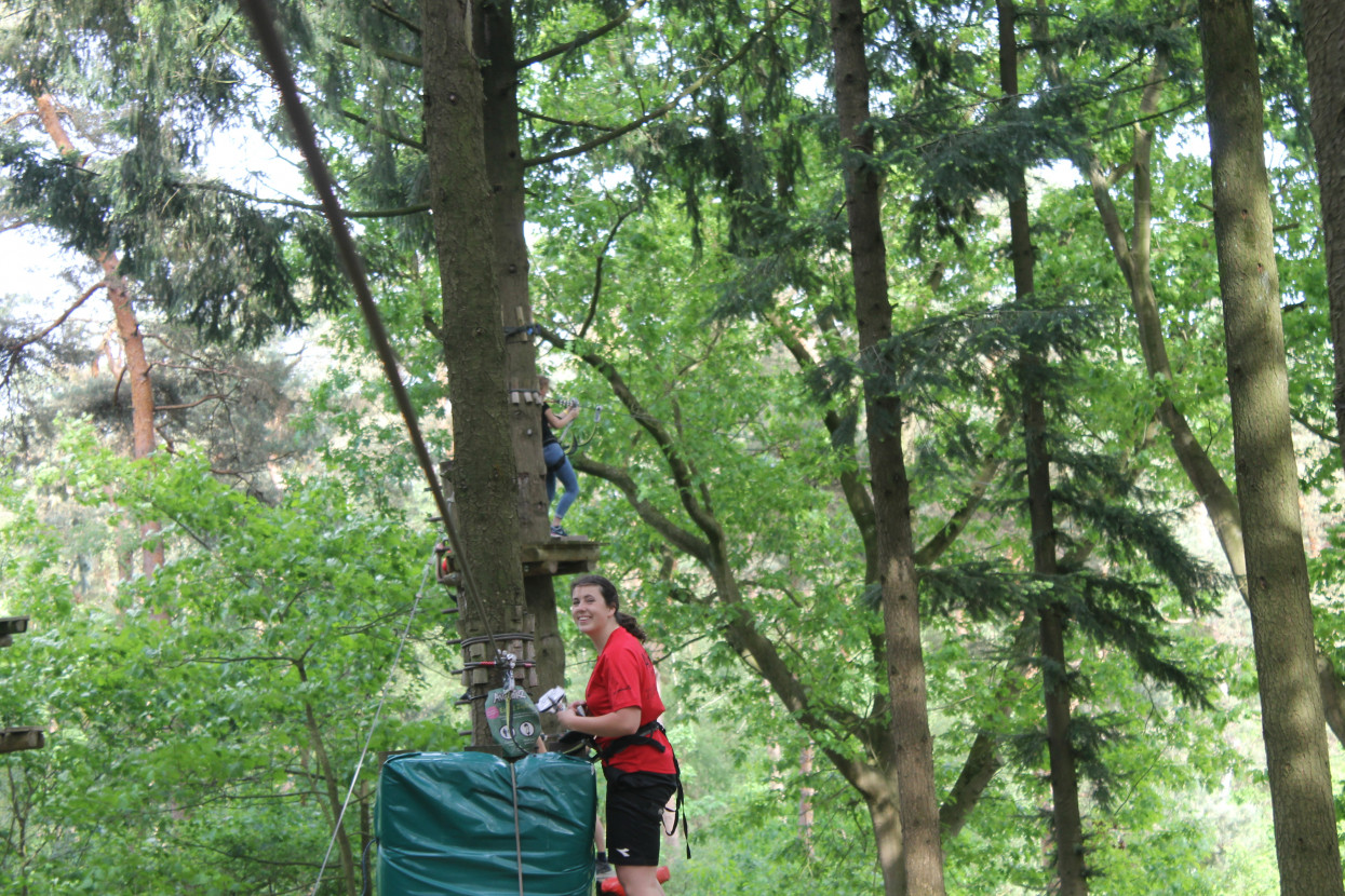 Climbing forest