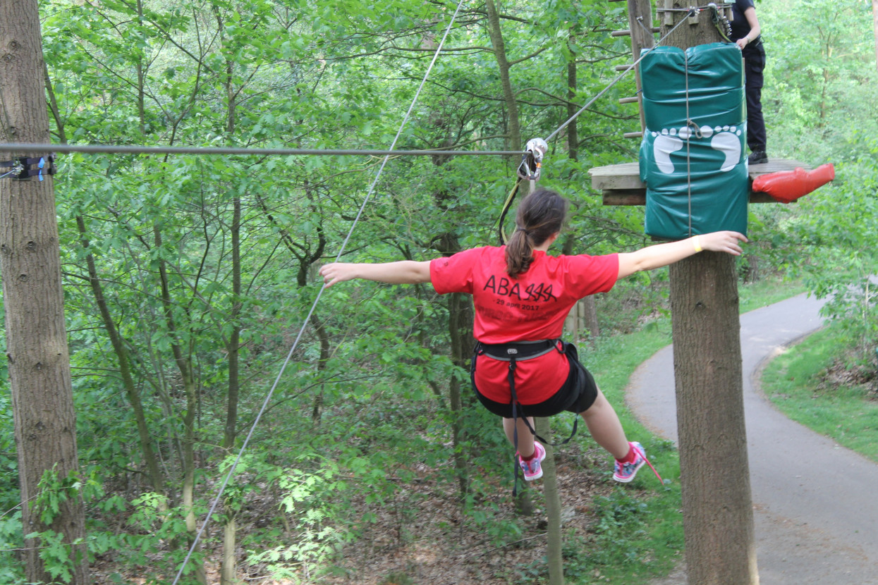 Climbing forest