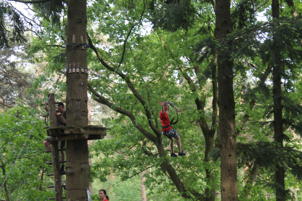 Climbing forest