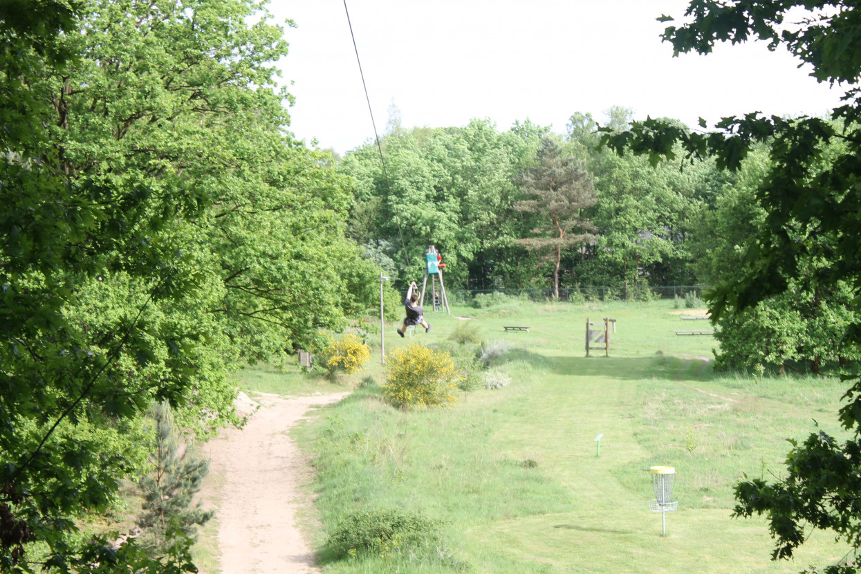 Climbing forest