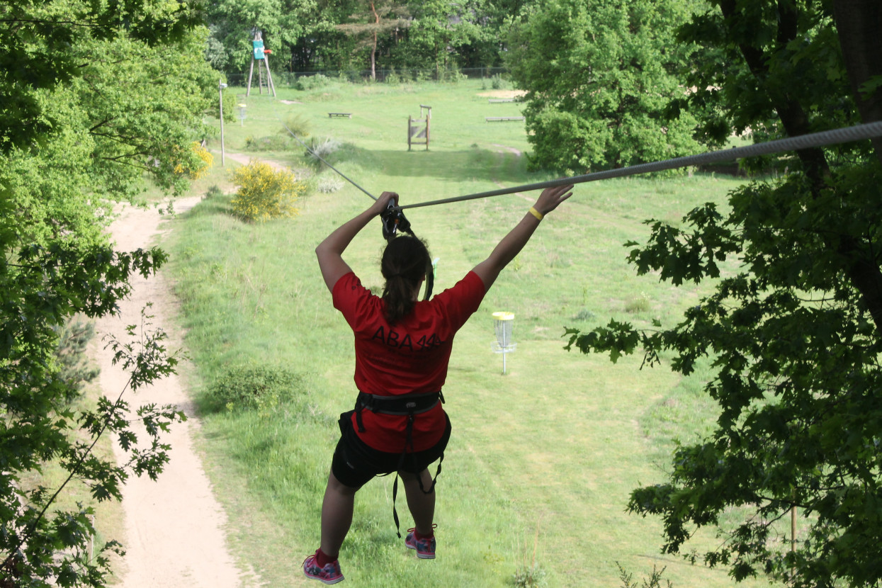 Climbing forest