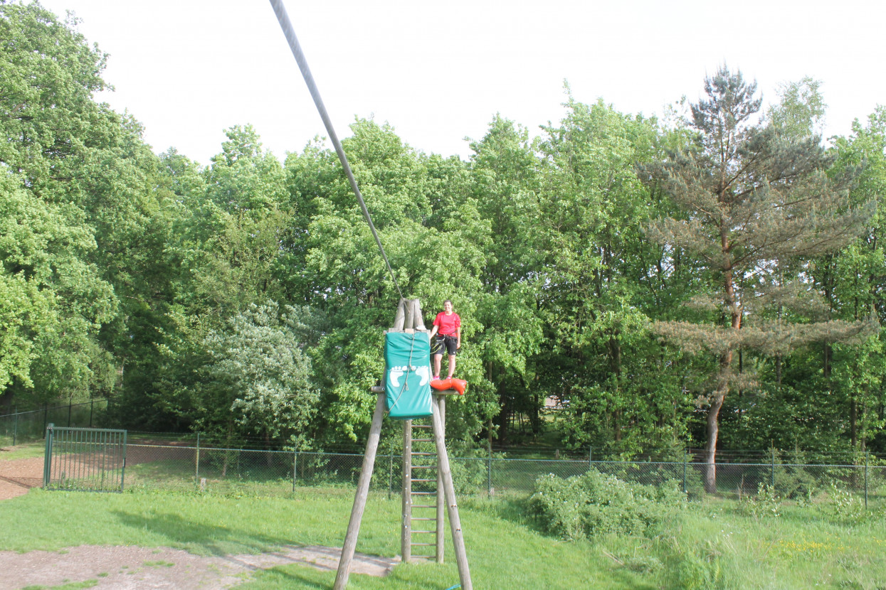 Climbing forest