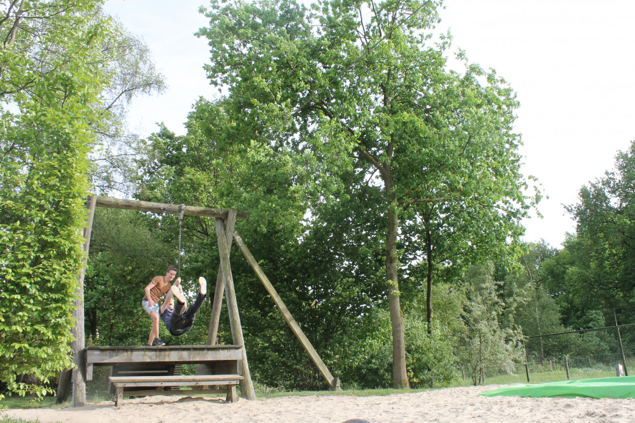 Climbing forest