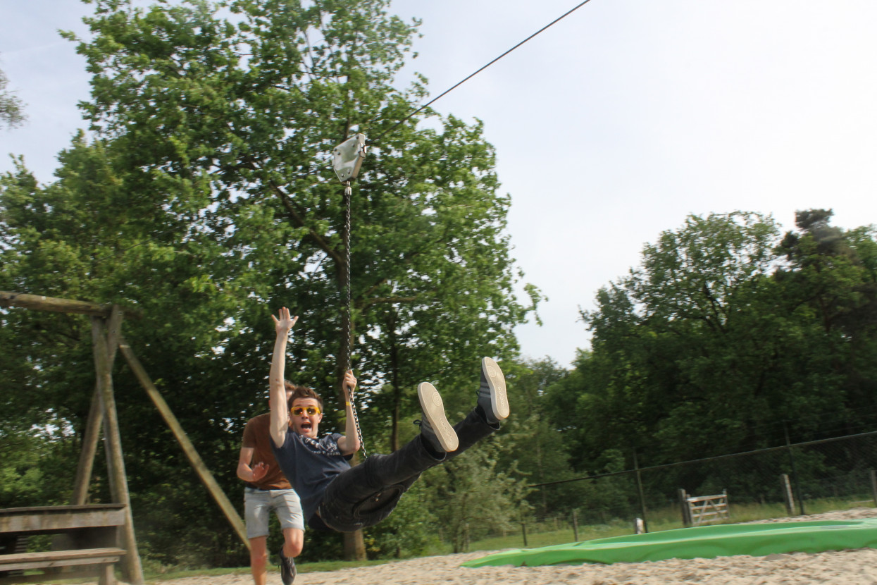 Climbing forest