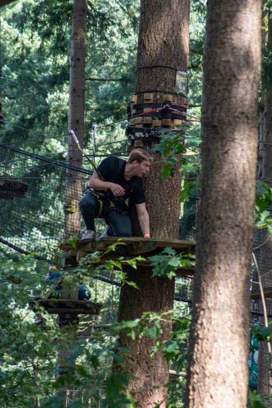 Kick-In Climbing Forest