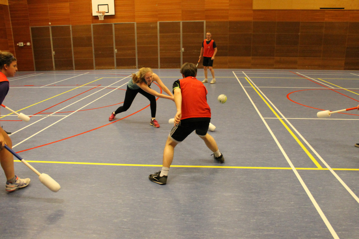 Knotsbal met WTW