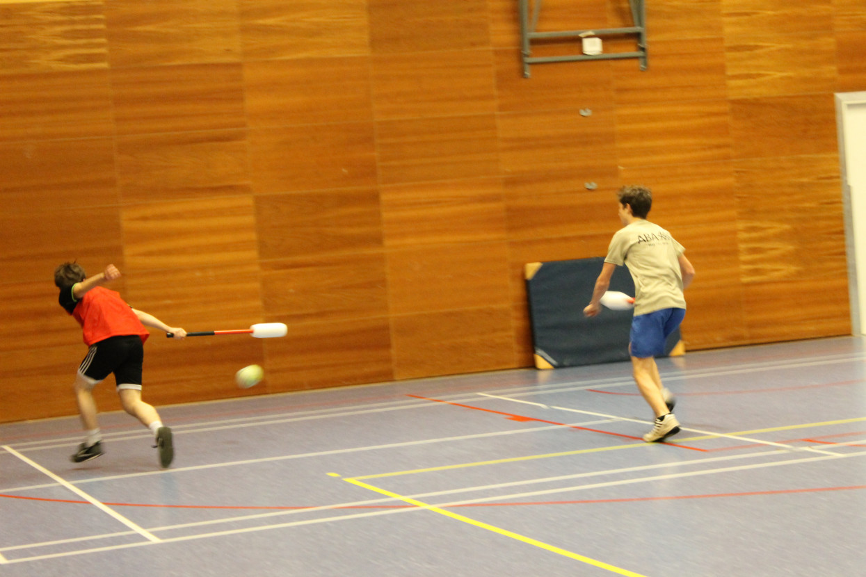 Knotsbal met WTW