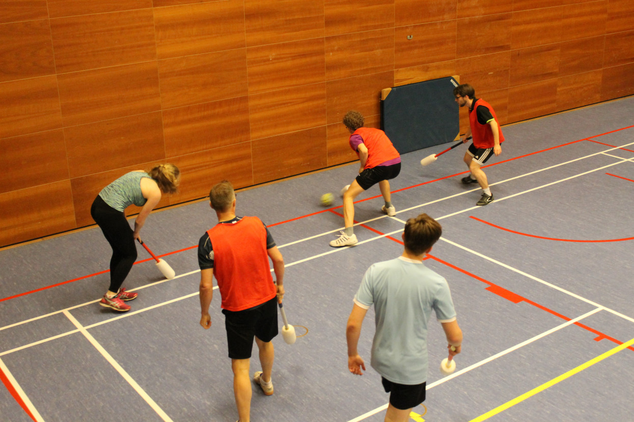 Knotsbal met WTW