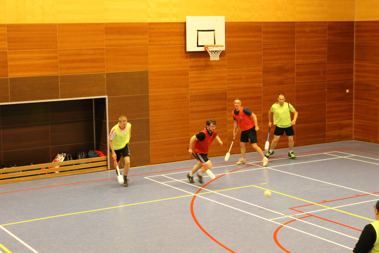 Knotsbal met WTW