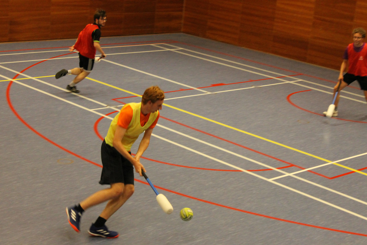 Knotsbal met WTW