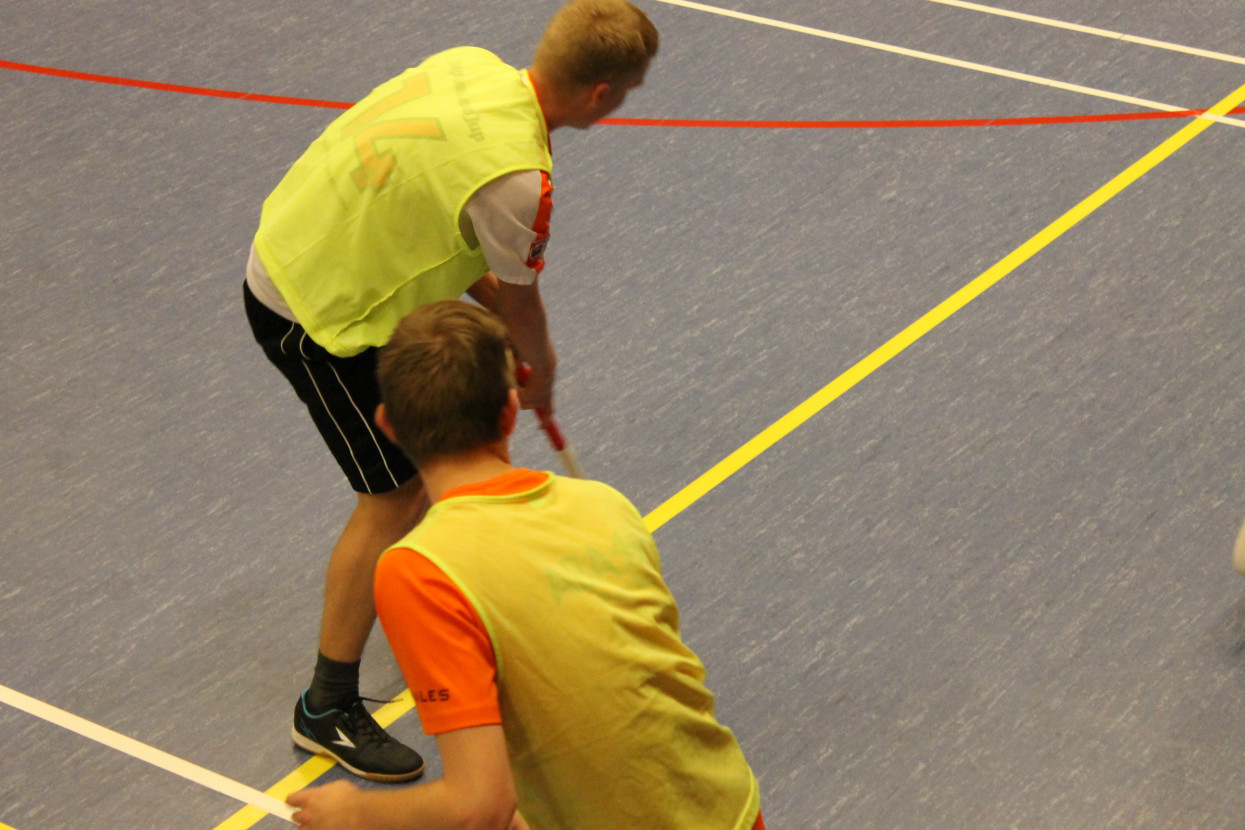 Knotsbal met WTW