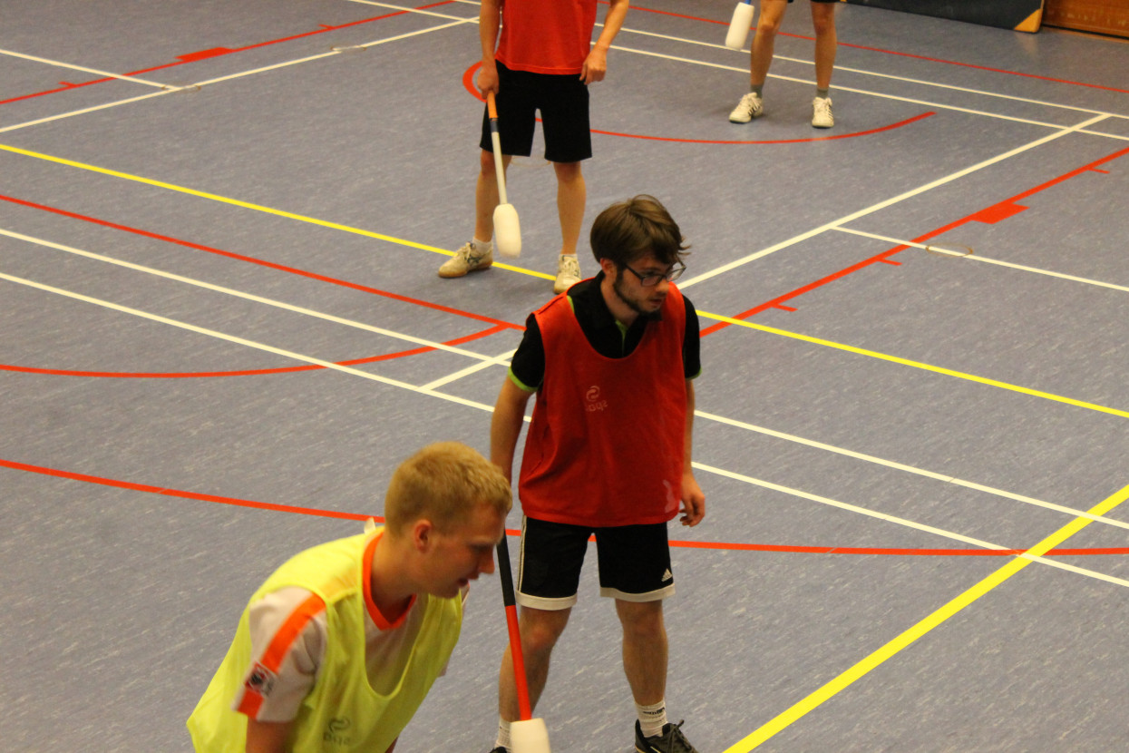 Knotsbal met WTW
