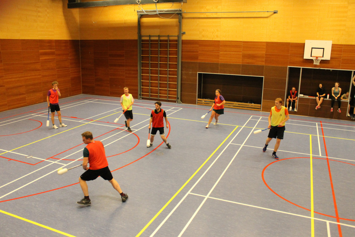 Knotsbal met WTW