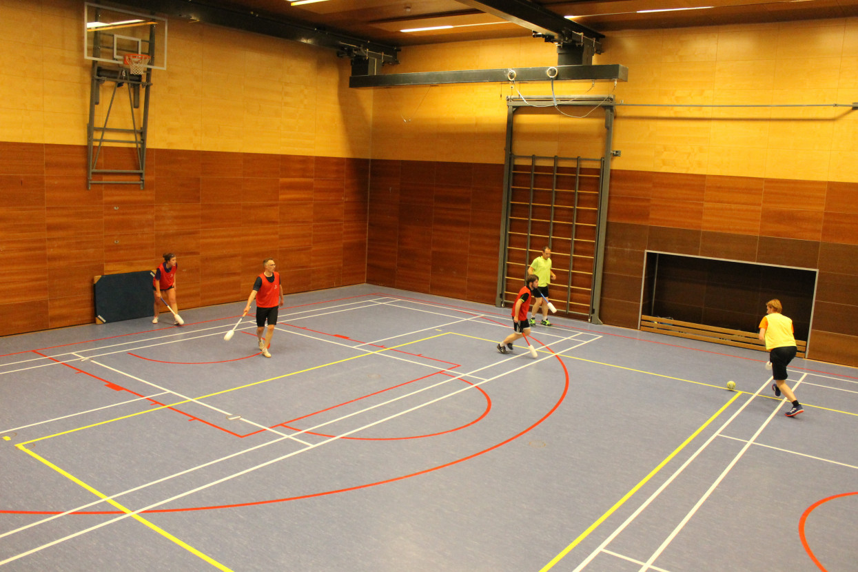 Knotsbal met WTW