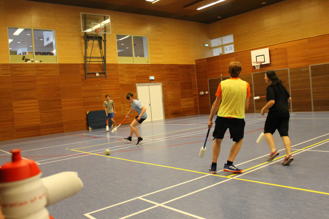 Knotsbal met WTW