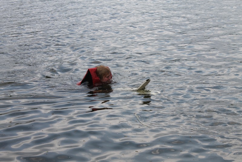 Waterskiën