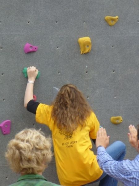 Introductie 2008