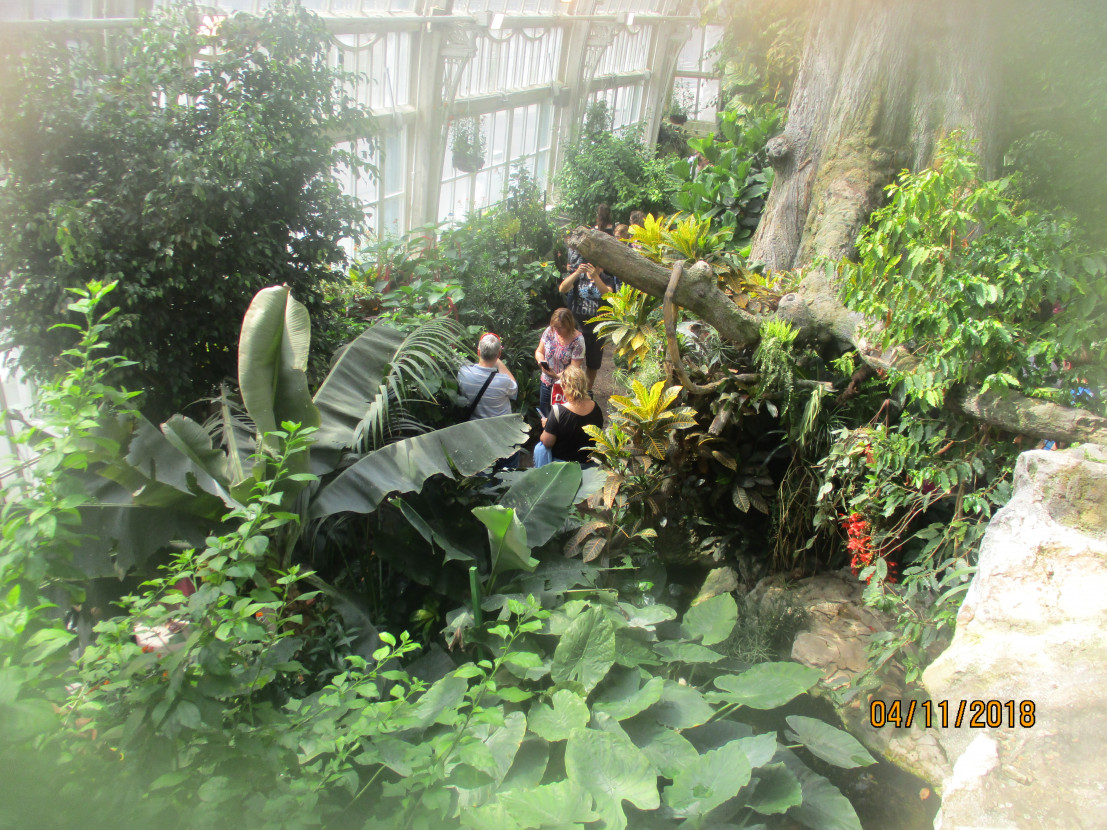 EWI trip