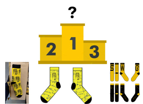 Final vote Socks